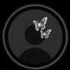 itx.zuwaira
