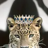 imane.mabasote