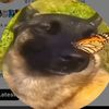 rehehehe68