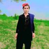 zulfiqar.ali.balo677