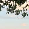 _mehedi.hasan_59