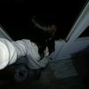 user3810441451517
