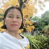 thanhkimcaygiong