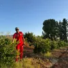 mustaphasatof3