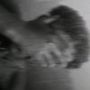youngclip17