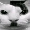 h1w2_lol