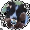 puppypawz_3