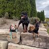outlaw_the_malinois2