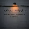 halimmynegr