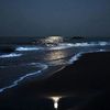 wxxil_901