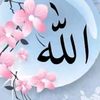 user5297173224553