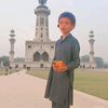 malikhamza222272