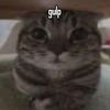 gebe_alt