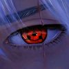 user91059802453051