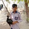 user7995061427471