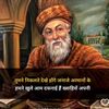 badsha14804