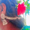 jnsandya