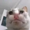theoneguy371