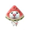 zakiyyyqq11