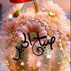 user5934945600271