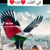 user51013420255523