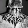 nel.head.gonzalez