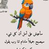 user5616940302768