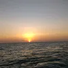 uc10032005