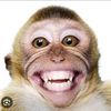 sun_gokong0