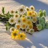 user58117195981695
