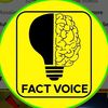 Fact Voice