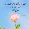 user8614393301709