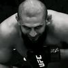 UFC Striker