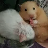 yrbabychloee