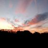 sumitf_2526