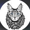 mainecoon.kittens725