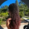 florax385