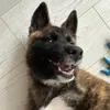 Zuko