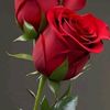 user76805931931497