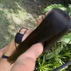 bruunasouzz