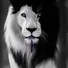 user361041908142