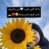 user3968657238828