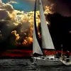 jony.jonson503
