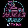 rtmo_nascar_dude