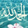 user58732635206671