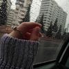 saba.fadi4