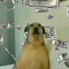 d_670k