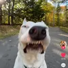 romeo.macauldy6