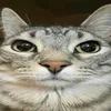 a_0_x2