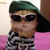 viniciuxxz_chk